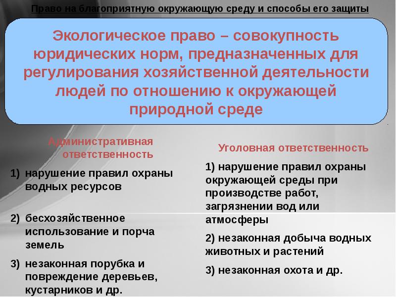 Сложный план по теме экологические права граждан и способы их защиты