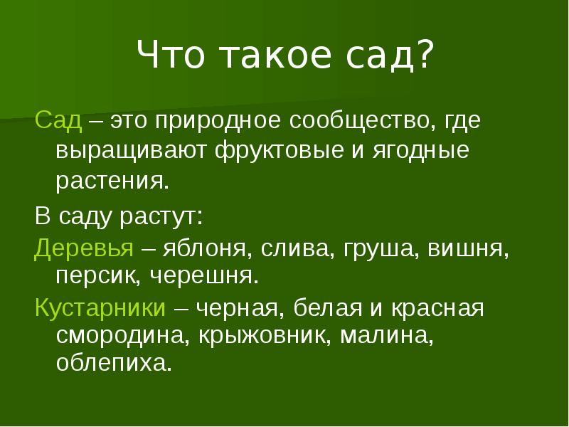 Что такое сад? Сад – это природное сообщество, где выращивают фруктовые