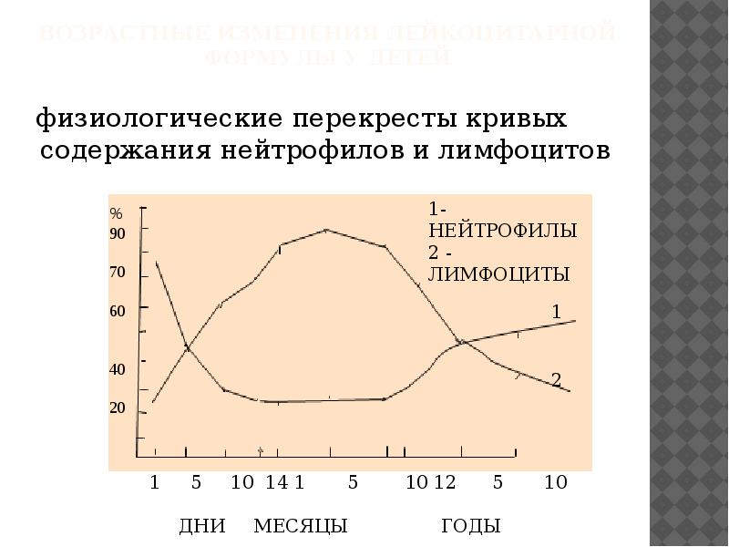 Схема физиологического перекреста лейкоцитарной формулы у детей