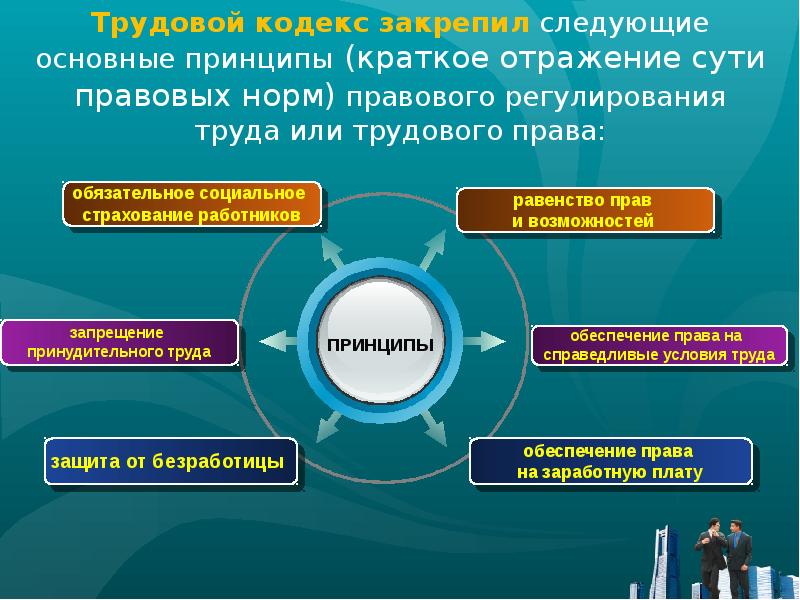 Правовое регулирование занятости и трудоустройства схема