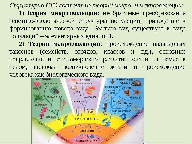 Эволюционные теории презентация