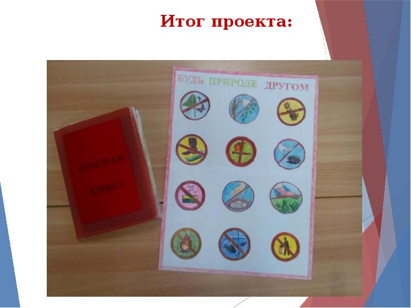 Экологическая, познавательная программа "У природы есть друзья!", посвященная ох