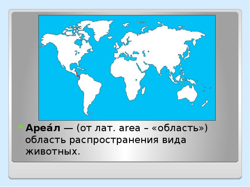 Ареалы обитания презентация