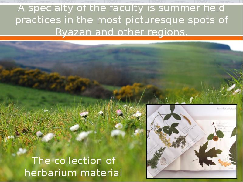 A specialty of the faculty is summer field practices in the A specialty of the faculty is summer field practices in the