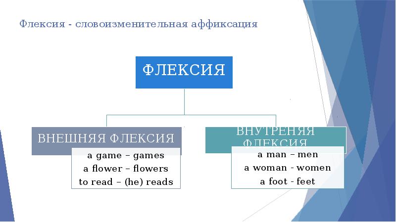 Грамматическое значение флексии