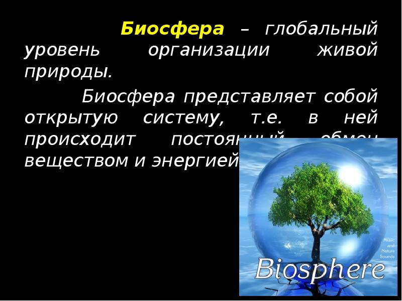 Презентация биосфера глобальная экосистема 9 класс биология