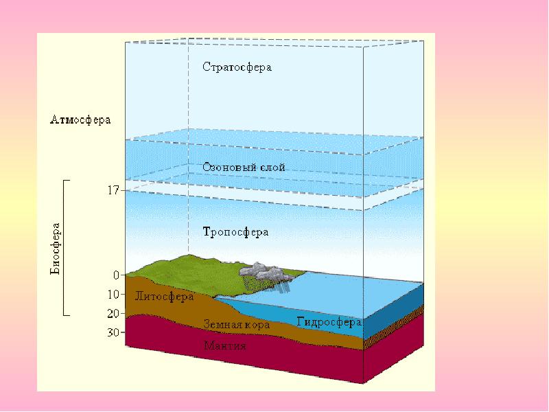 Презентация строение биосферы