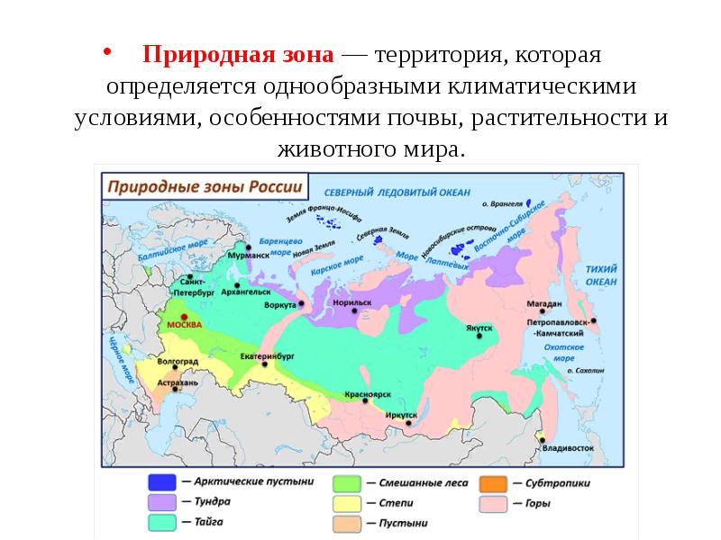 Презентация природные зоны 6 класс