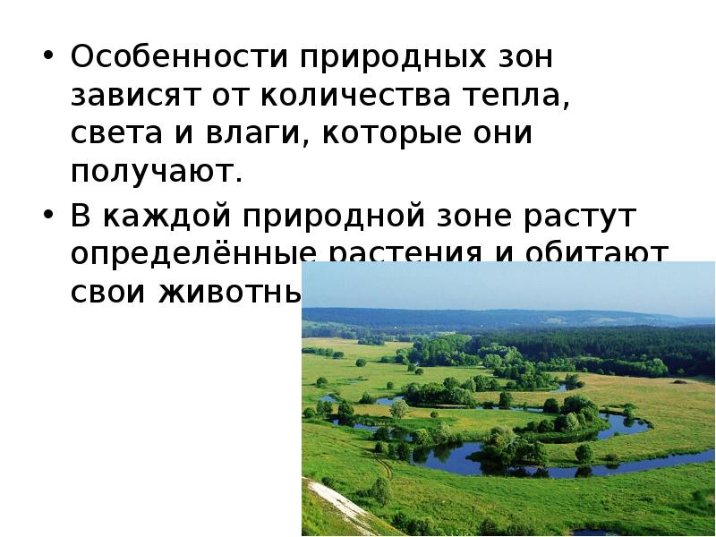 Особенность природной зоны