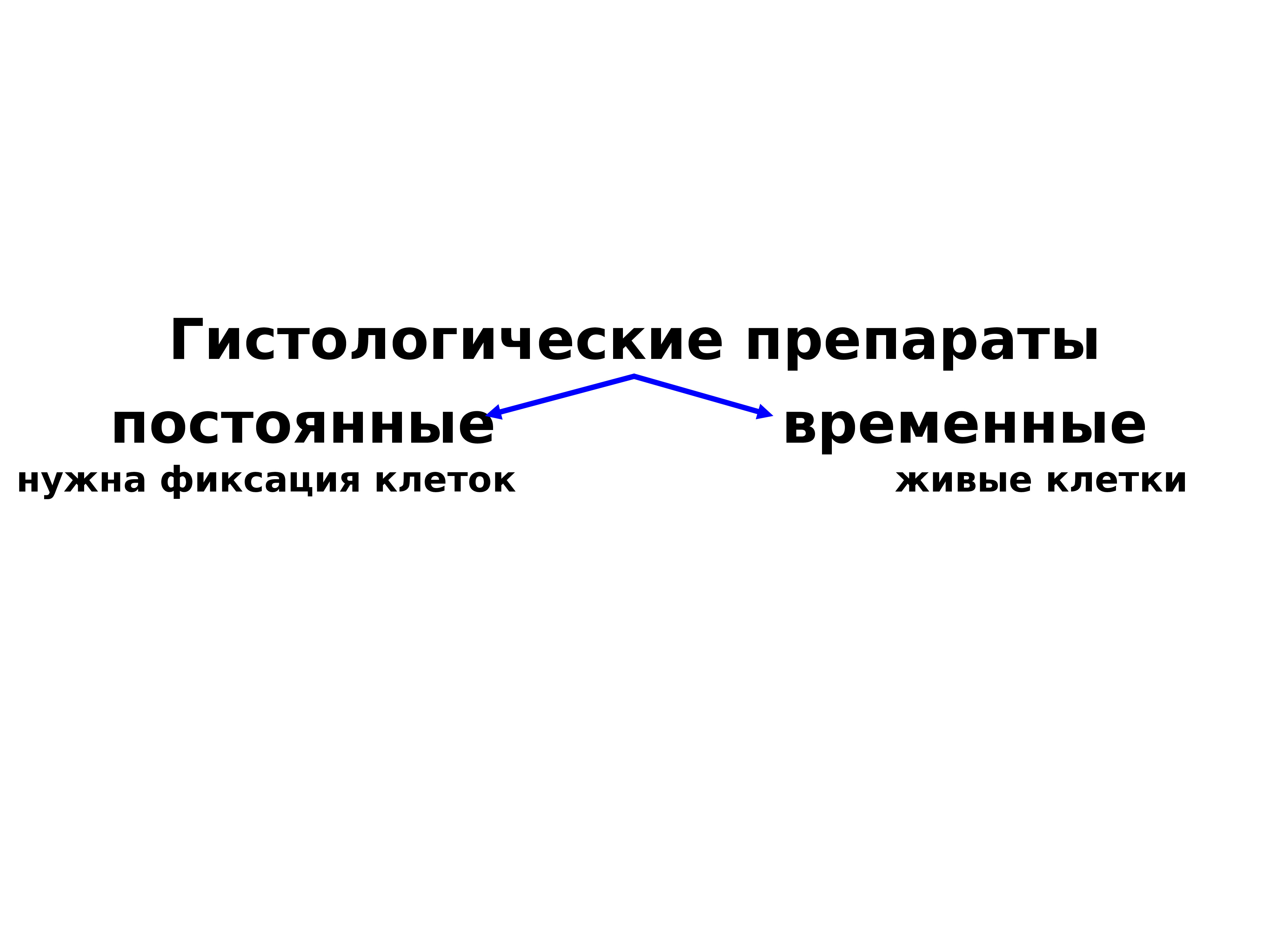 Нужен фиксированный. Временные и постоянные препараты. Временный и постоянный препарат. Постоянный препарат это. Постоянная препарат.