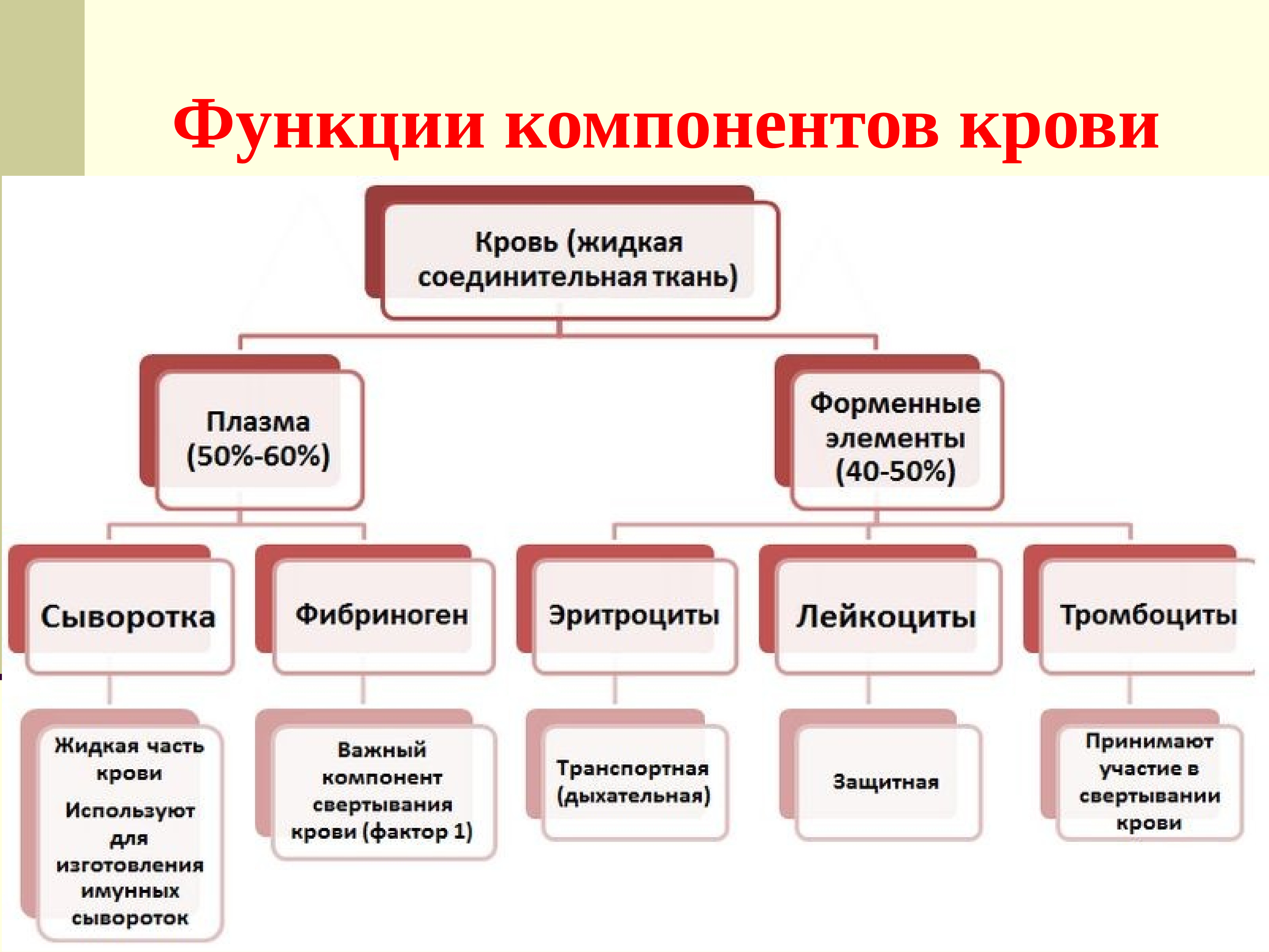 Элементы составляющие кровь