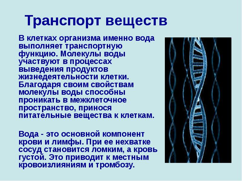 Передвижение веществ у животных 6 класс презентация