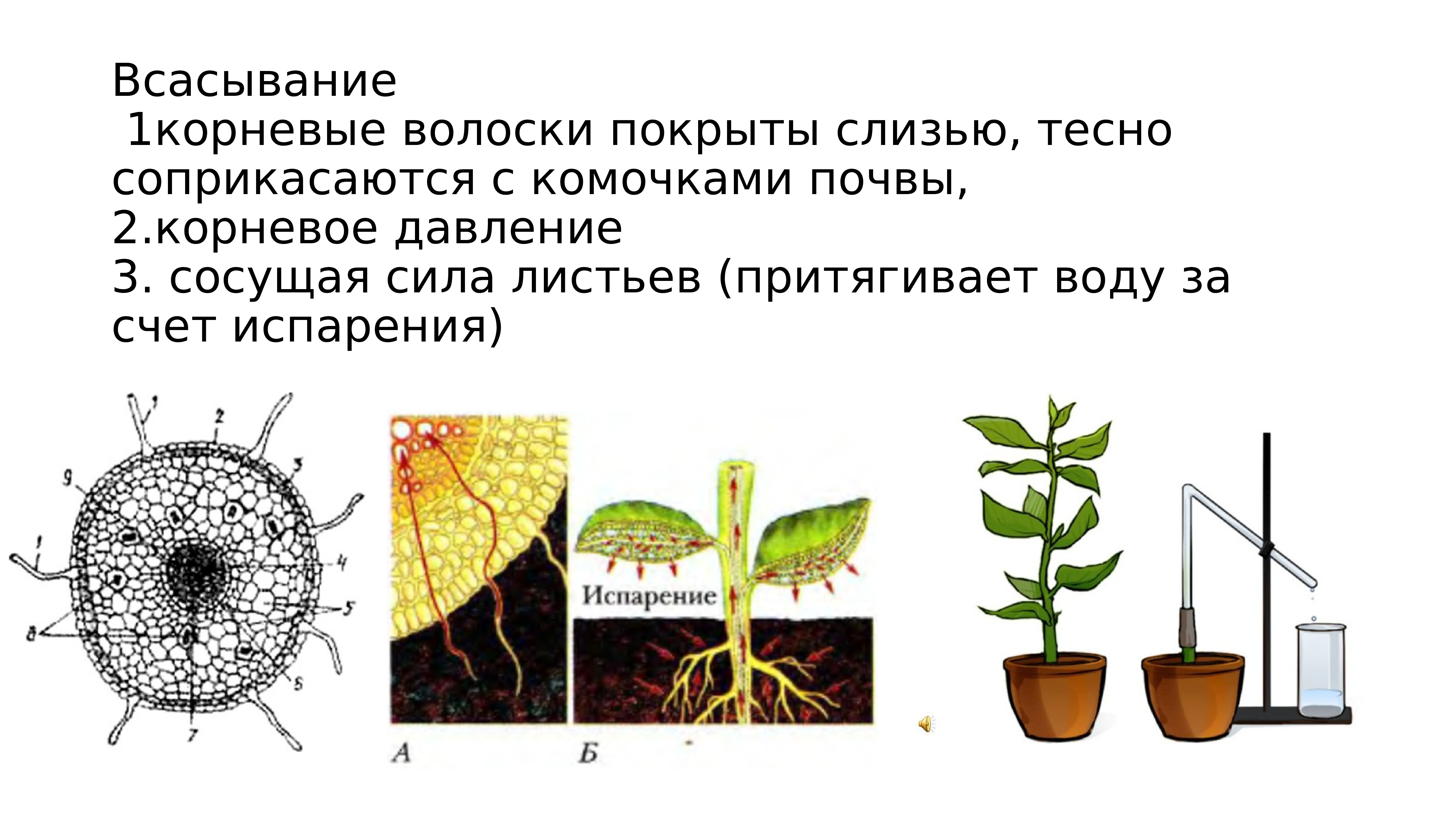 Система брауна