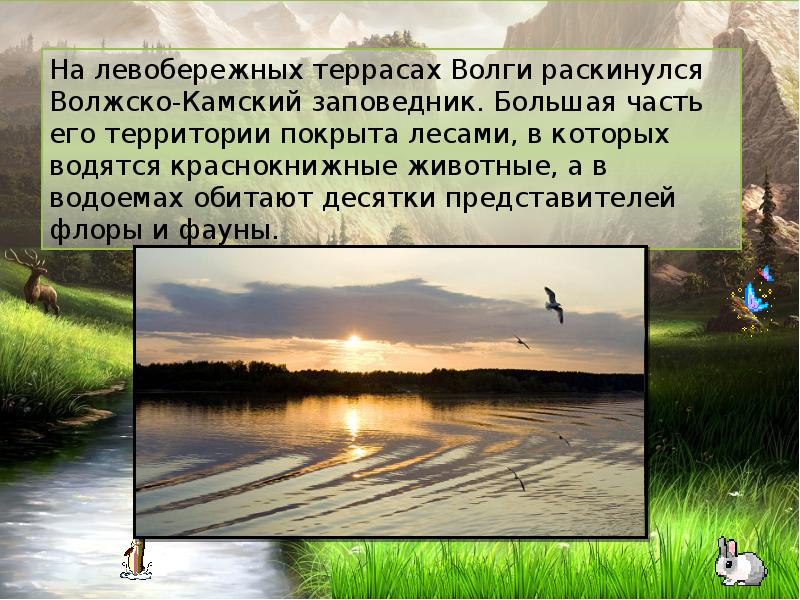 Волжско камский государственный природный биосферный заповедник презентация