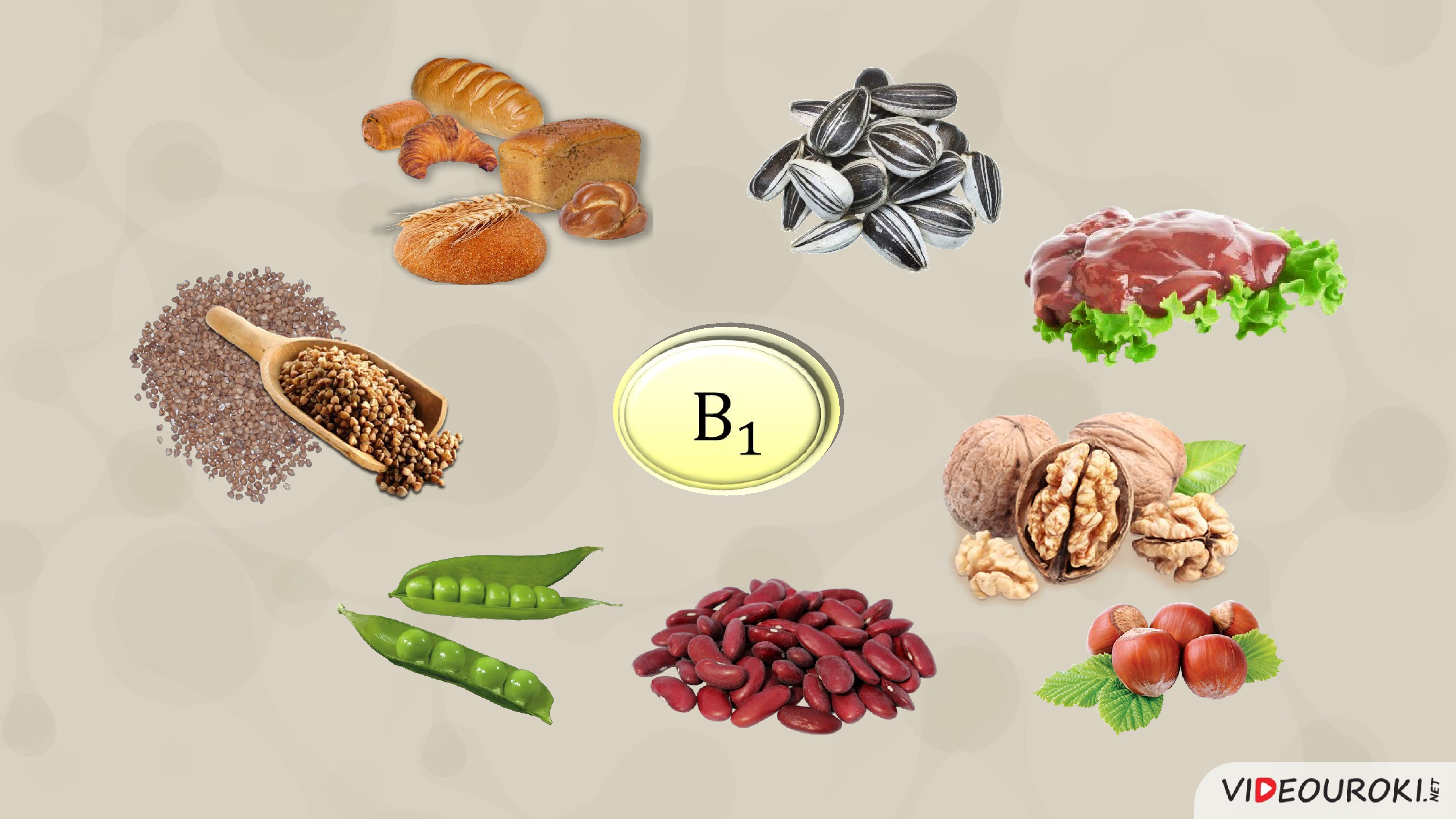 Продукты с витамином в 1. Витамин б1 тиамин. Недостаток витамина в1 в организме. Источники витамина в1 тиамина. Витамин b1 продукты.