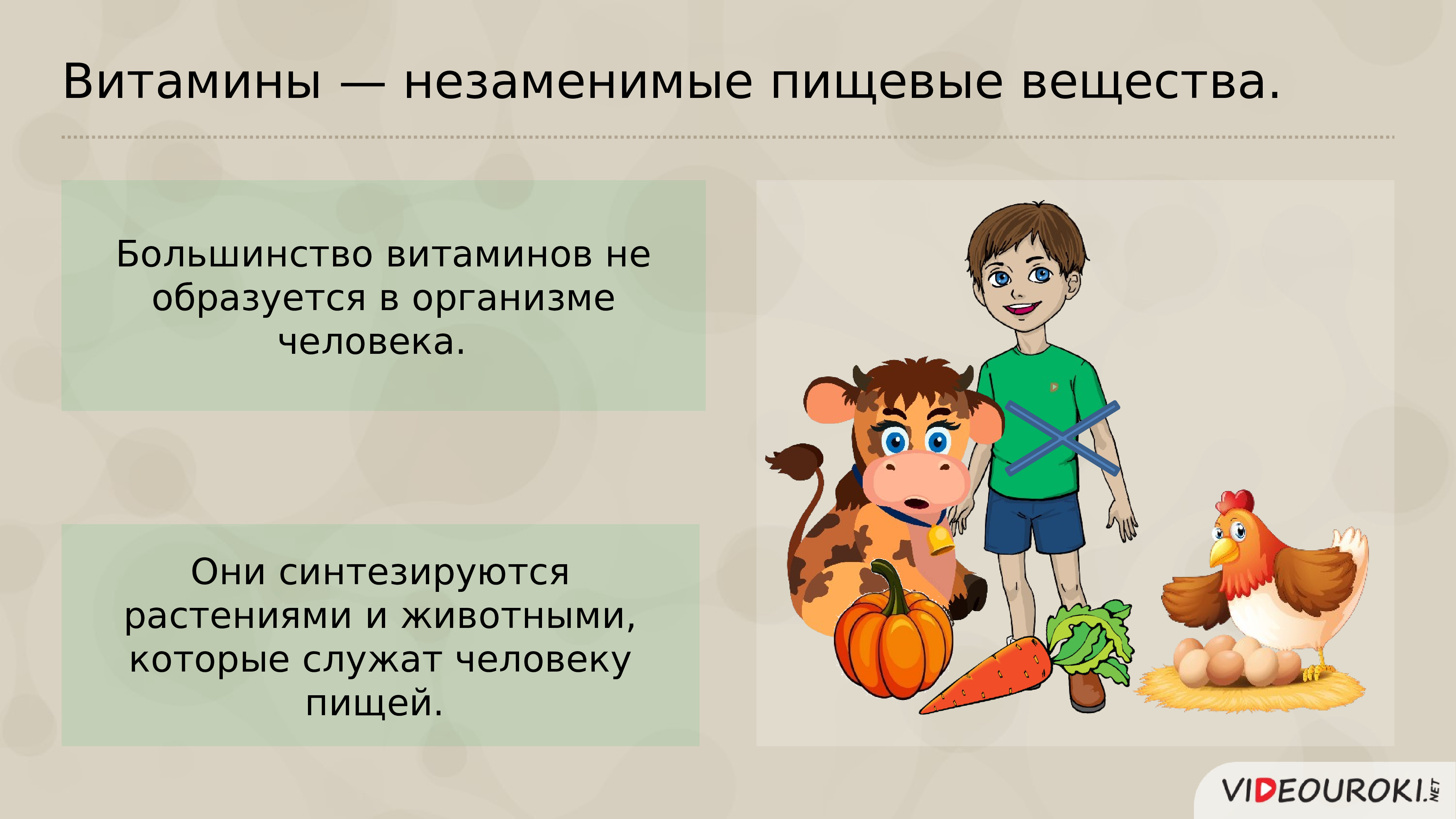 Витамины презентация анатомия