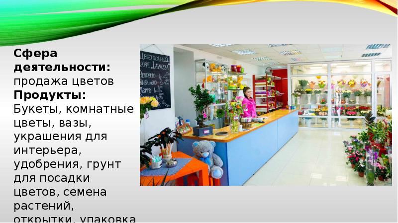 Мини проект моя фирма