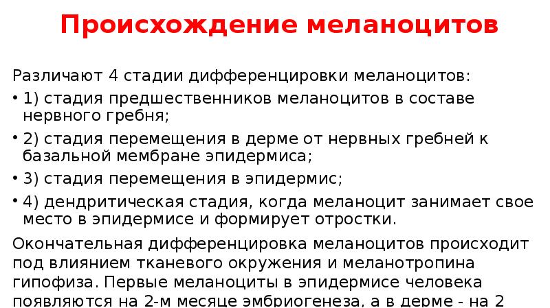 Происхождение меланоцитов
Различают 4 стадии дифференцировки меланоцитов:
1) стадия предшественников меланоцитов Происхождение меланоцитов
Различают 4 стадии дифференцировки меланоцитов:
1) стадия предшественников меланоцитов