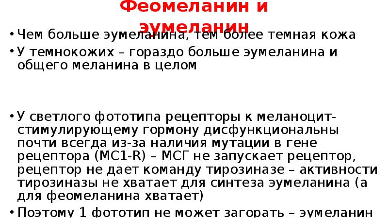 Феомеланин и эумеланин
Чем больше эумеланина, тем более темная кожа
У Феомеланин и эумеланин
Чем больше эумеланина, тем более темная кожа
У