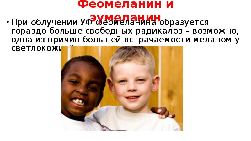 Феомеланин и эумеланин
При облучении УФ феомеланина образуется гораздо больше свободных Феомеланин и эумеланин
При облучении УФ феомеланина образуется гораздо больше свободных