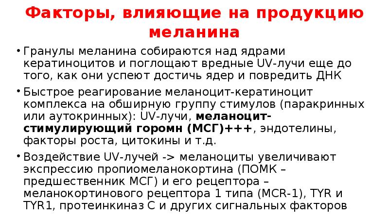Факторы, влияющие на продукцию меланина
Гранулы меланина собираются над ядрами кератиноцитов Факторы, влияющие на продукцию меланина
Гранулы меланина собираются над ядрами кератиноцитов
