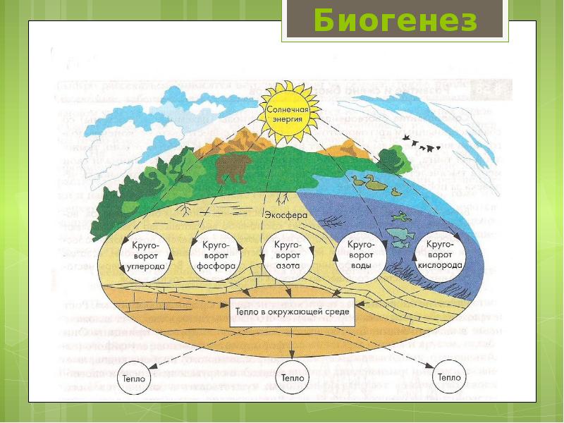 Эволюция биосферы план