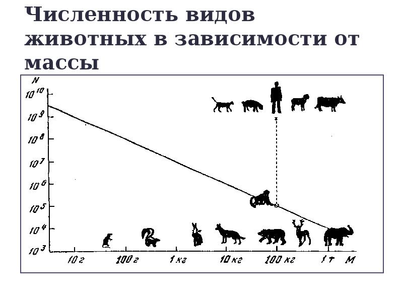 Зайцы изменение численности. Численность видов животных. Виды численности. Численность животных в мире. Количество видов.