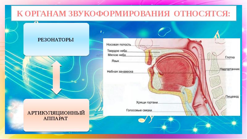 Голосовой аппарат картинка