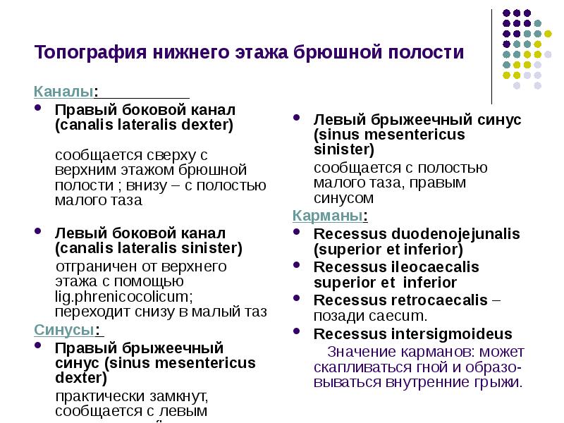 Топографическая анатомия нижнего этажа брюшной полости презентация