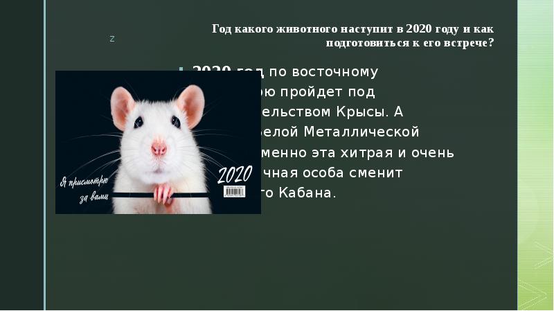 Год какого животного наступает. 2020 Год для презентации. 2020 Год какого животного по восточному. Год какого животного настанет. Для презентации новый год 2020.