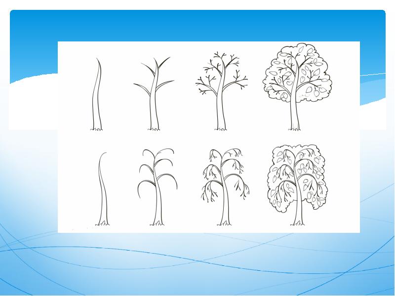 Тема урока рисунок. Характер линий в рисунке. Характер линий дерево. Характер линий в рисовании. Изо тема дерево.