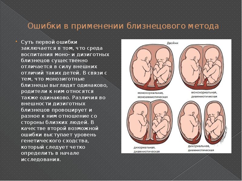 Близнецовый метод презентация