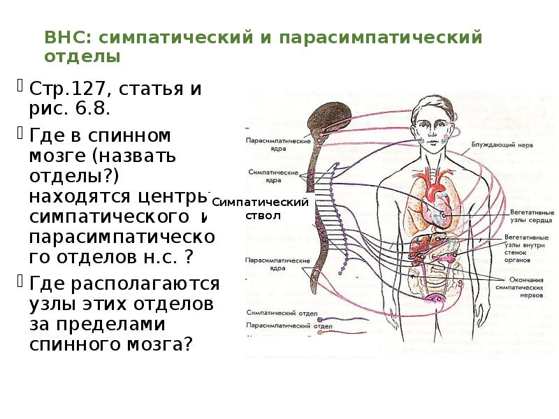 Отделы расположены