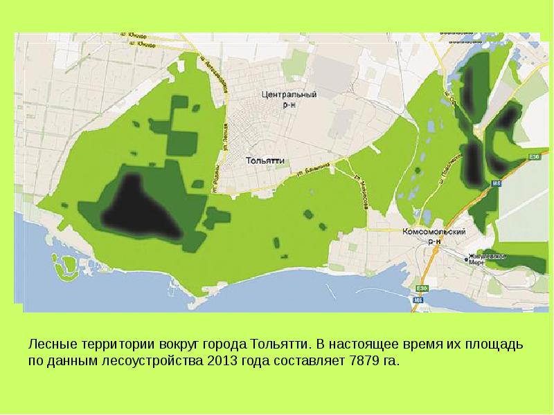 Карта лесная карта тольятти