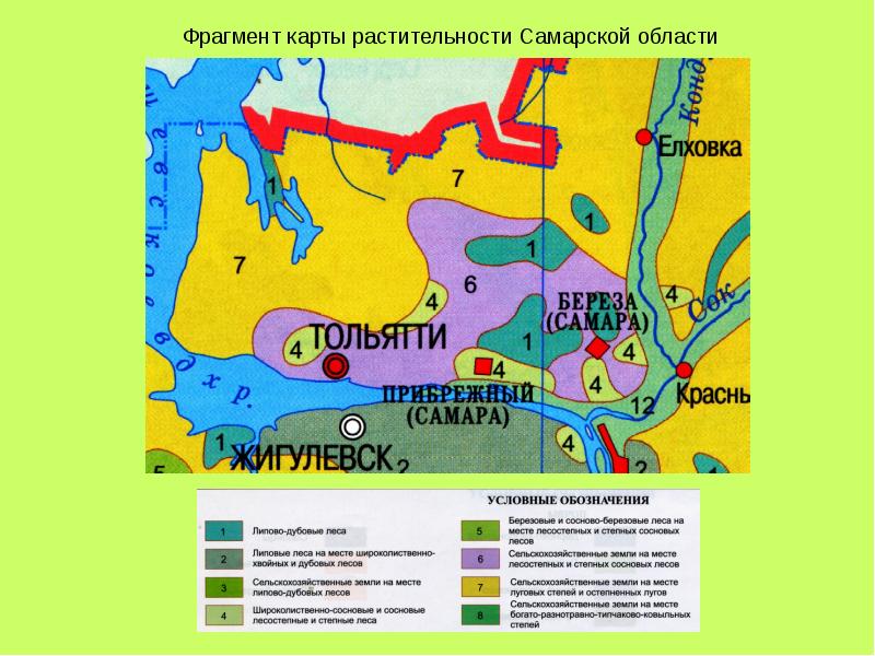 Карта лесная карта тольятти