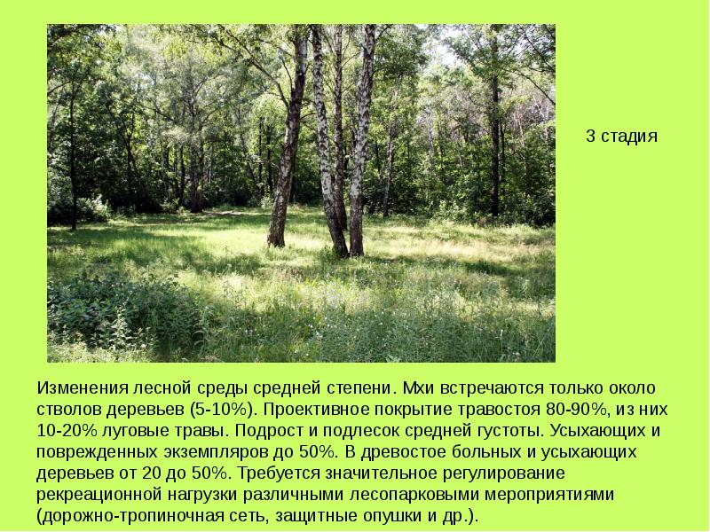 Смена лесов. Подрост и подлесок. Проективное покрытие деревьев. Общее проективное покрытие травостоя. Характеристика подроста и подлеска.