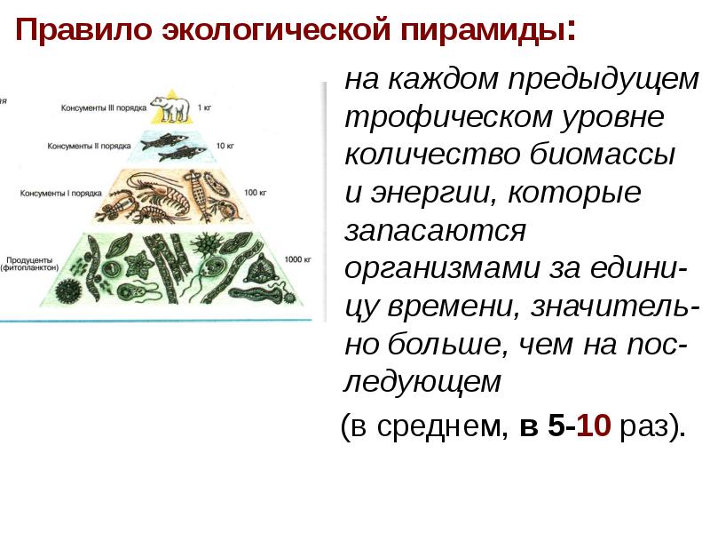 Стрелками на рисунке указано на всех показателей численности биомассы энергии с трофического уровня