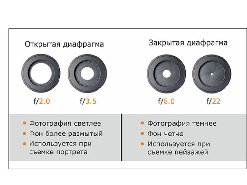 Проект фотокружок для детей