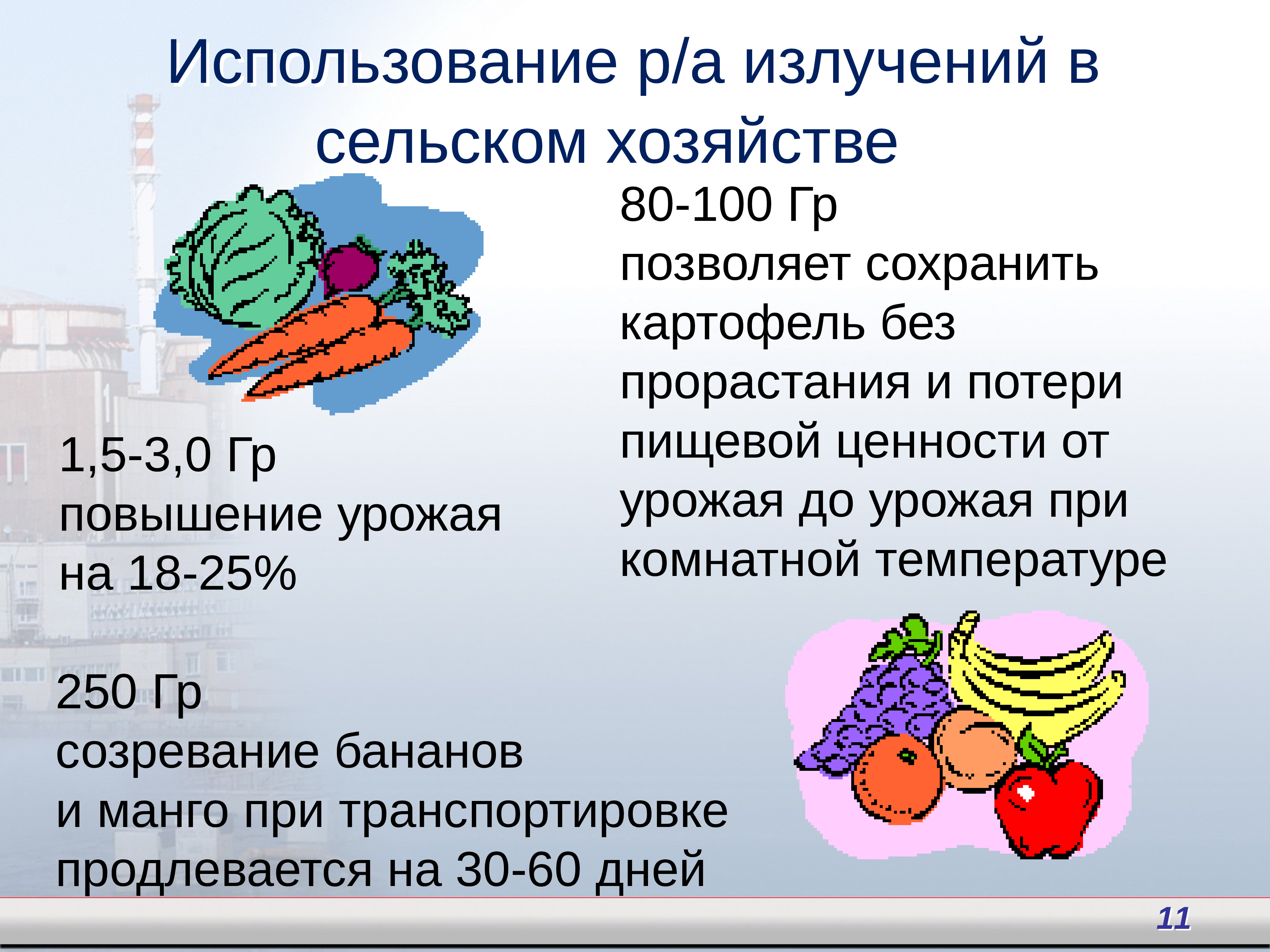 Презентация 11 биологическое действие радиоактивных излучений