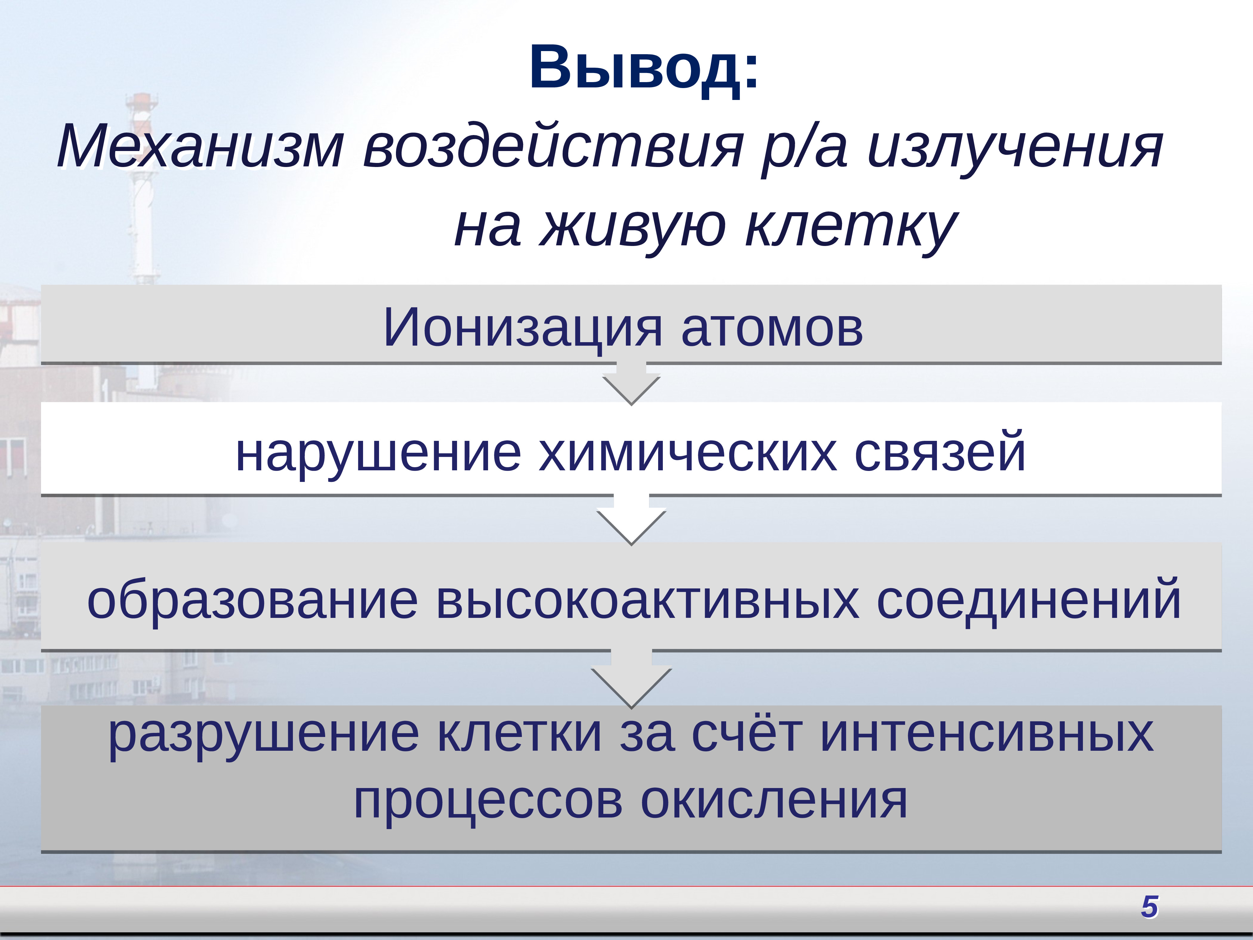 Биологическое действие радиации 11 класс презентация