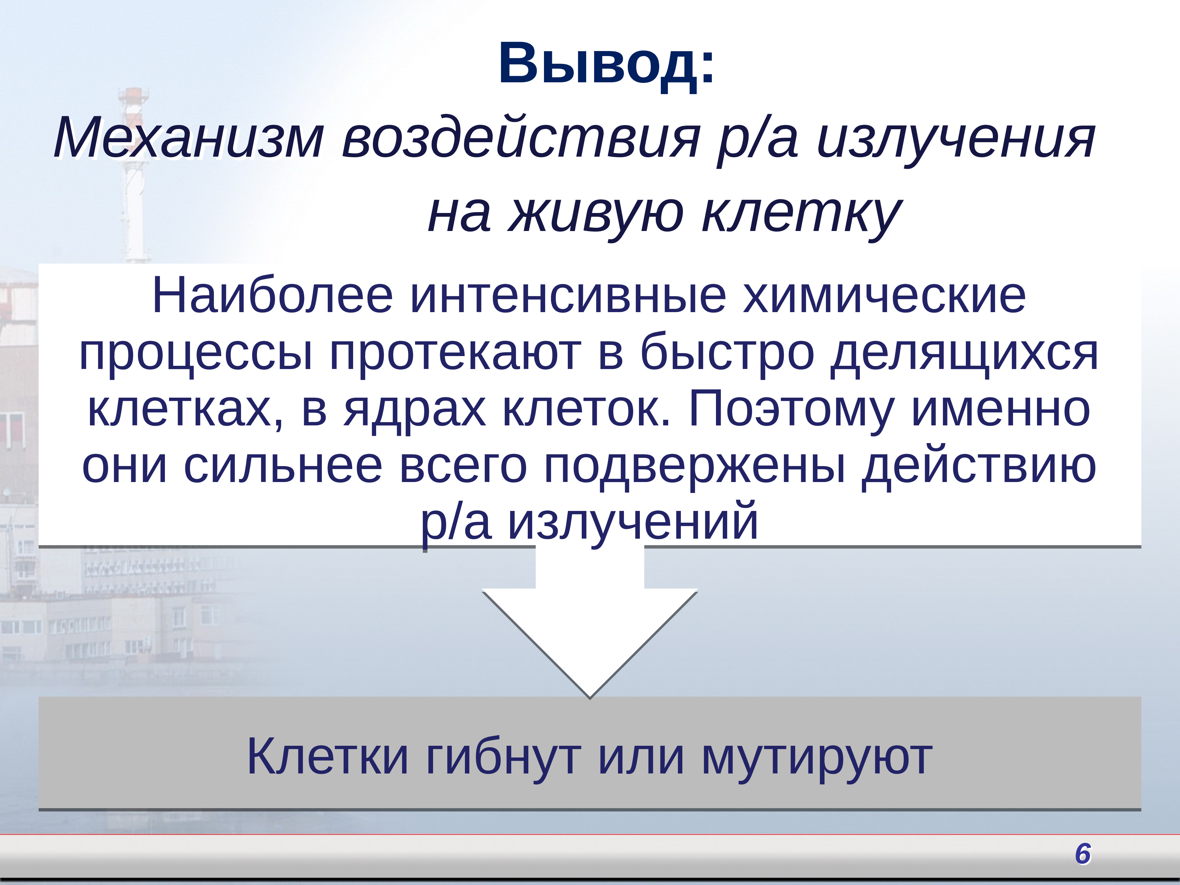 Презентация на тему биологическое действие радиоактивных излучений