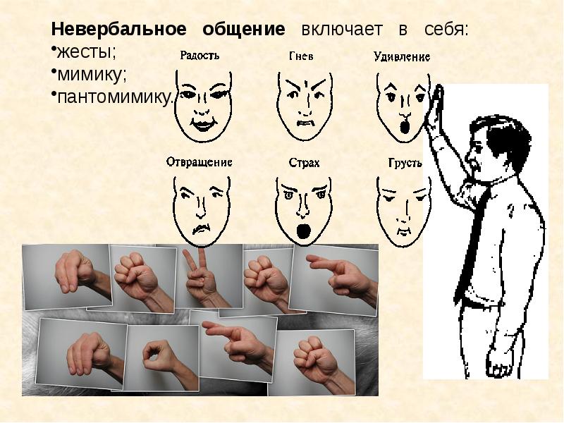 Презентация на тему мимика