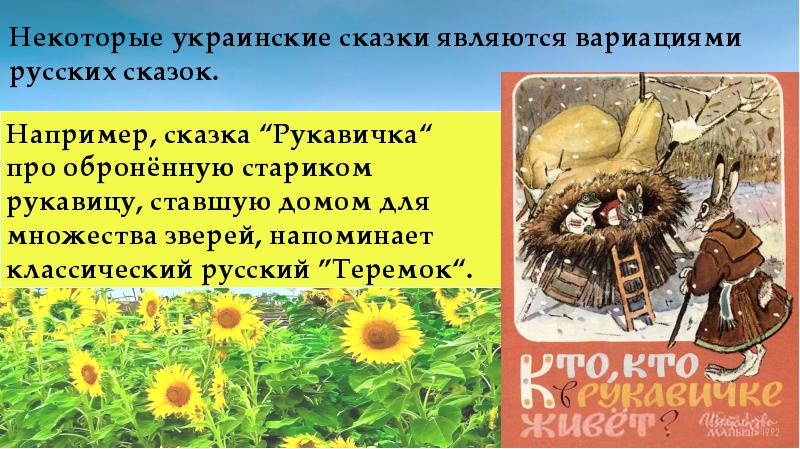 Кубанское Поле Интернет Магазин