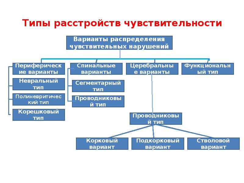 Нарушение чувствительности латынь термин