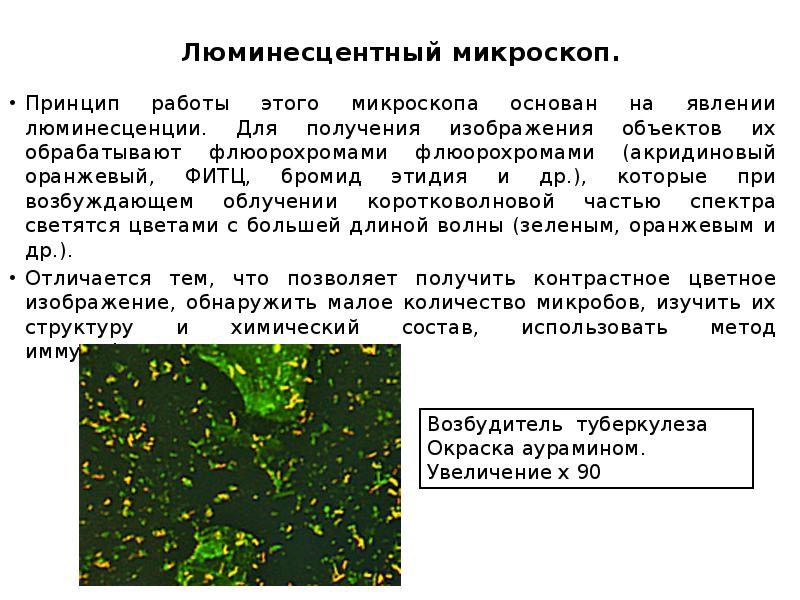 &nbsp; Люминесцентный микроскоп.  Принцип работы этого микроскопа основан на явлении