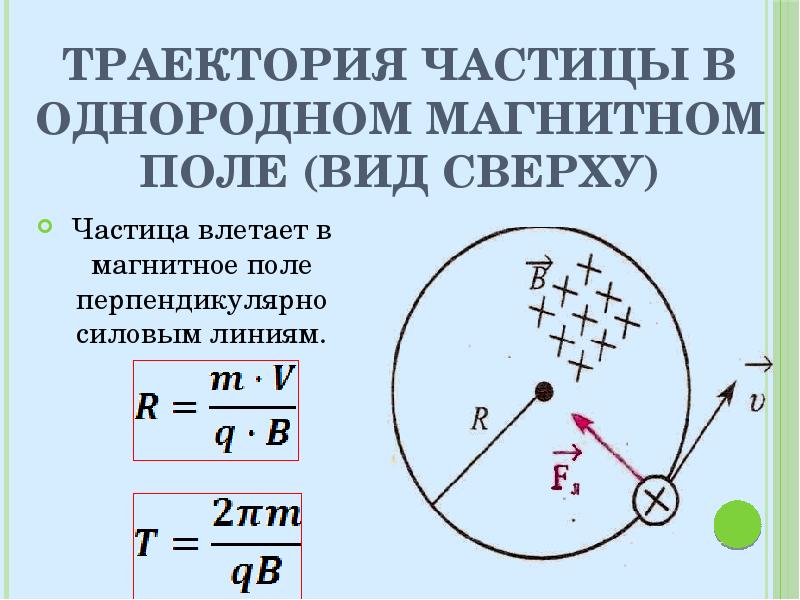 Перпендикулярно силовым линиям в магнитное поле