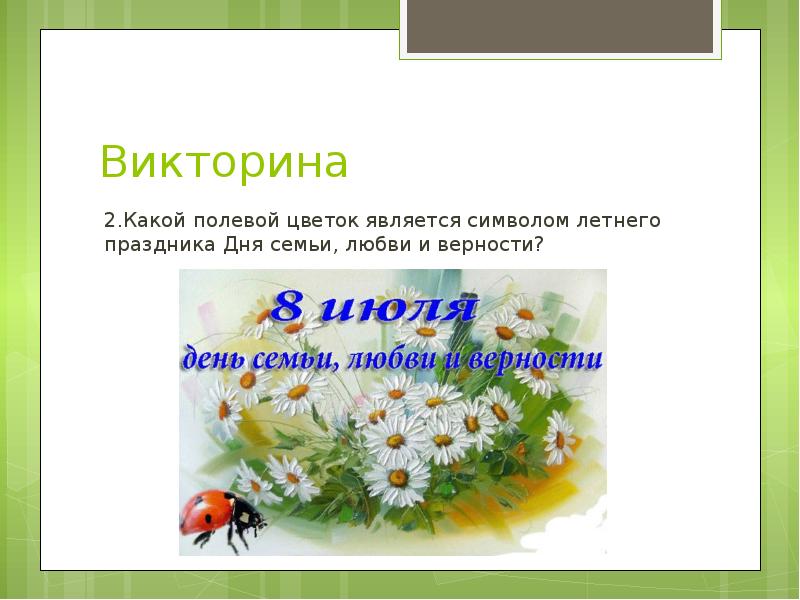 День семьи любви цветок является символом. Вопросы викторины день семьи.