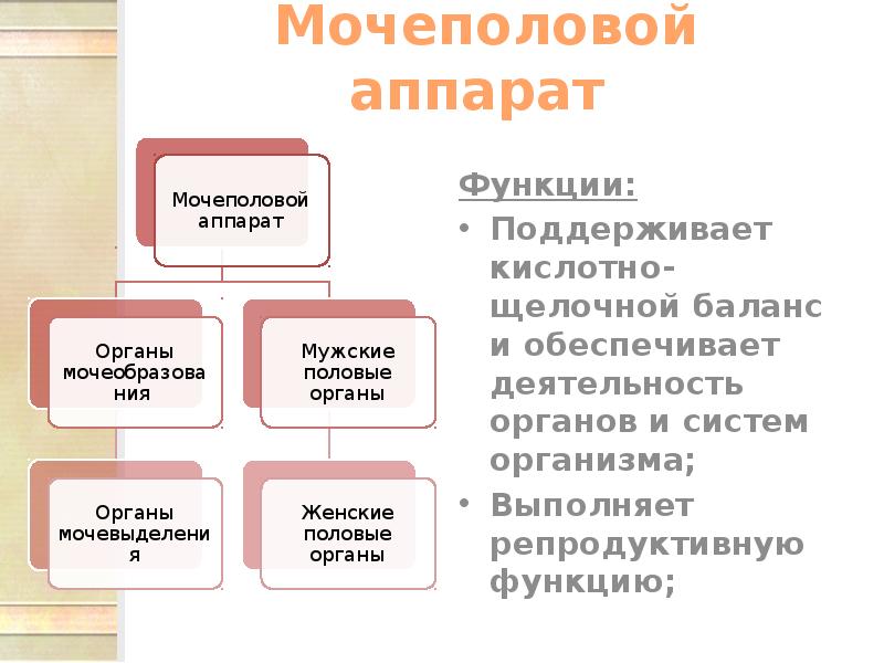 Как называется часть проекта в которой дается описание аппарата проекта