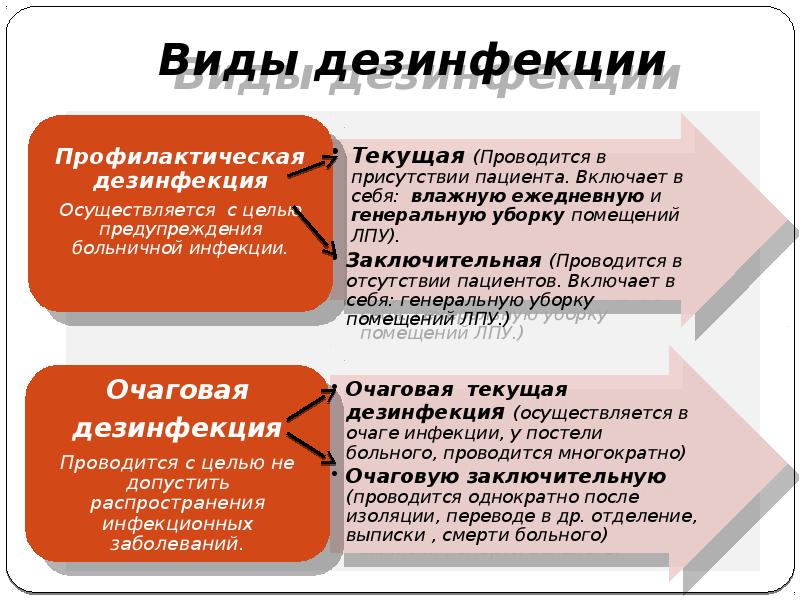 Правила дезинфекции помещений в которых содержатся животные презентация