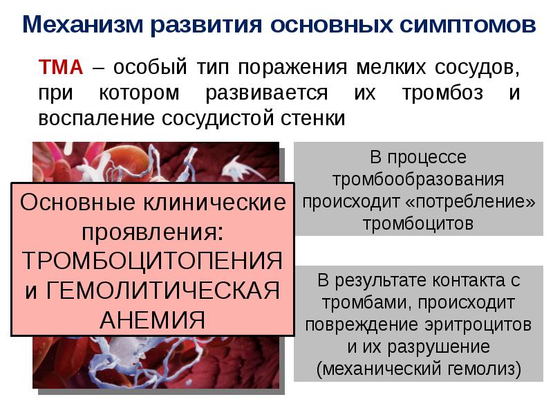 Тромботическая микроангиопатия в акушерстве презентация